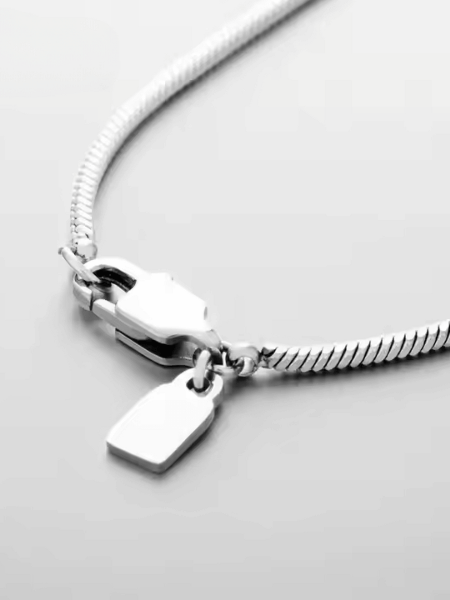 Round Snake Chain Necklace