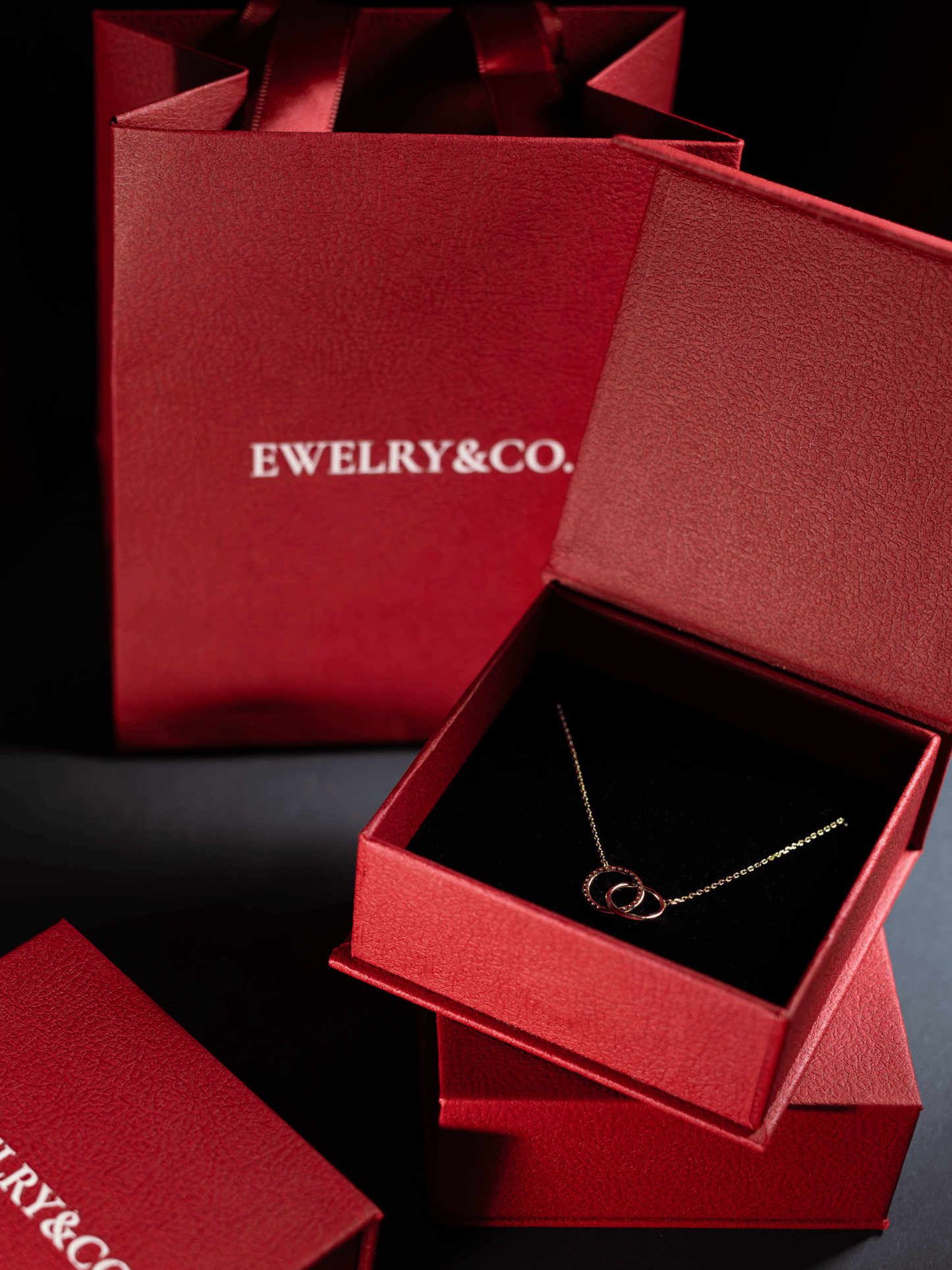 Double Circle Necklace